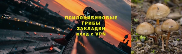 хмурый Балабаново