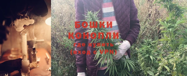 хмурый Балабаново