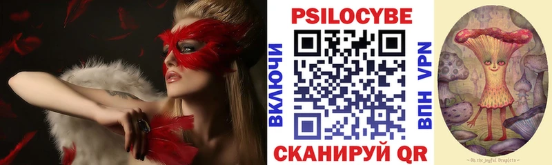 Псилоцибиновые грибы мицелий  Балахна 